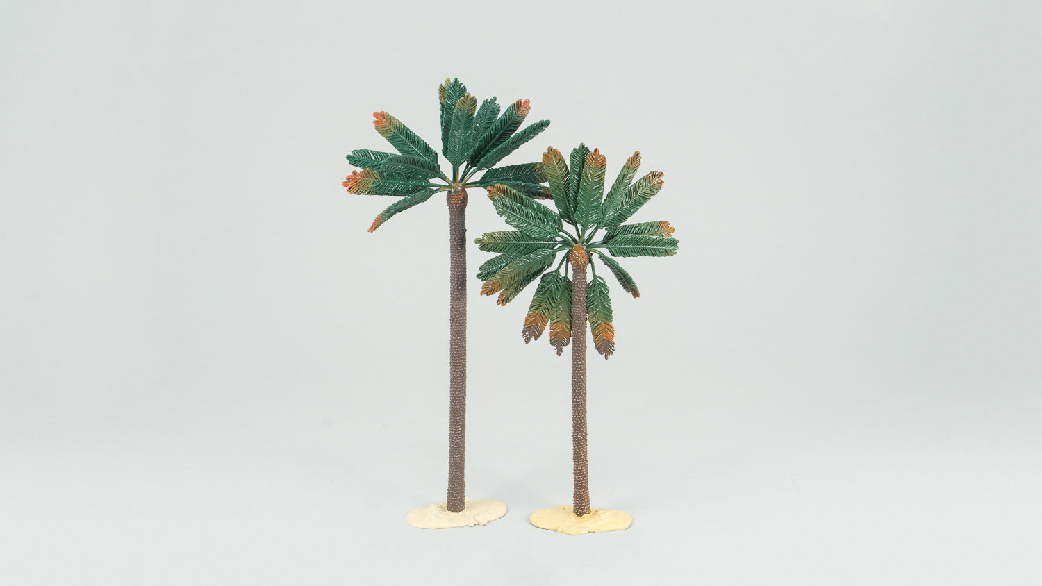 53 Palm Trees
