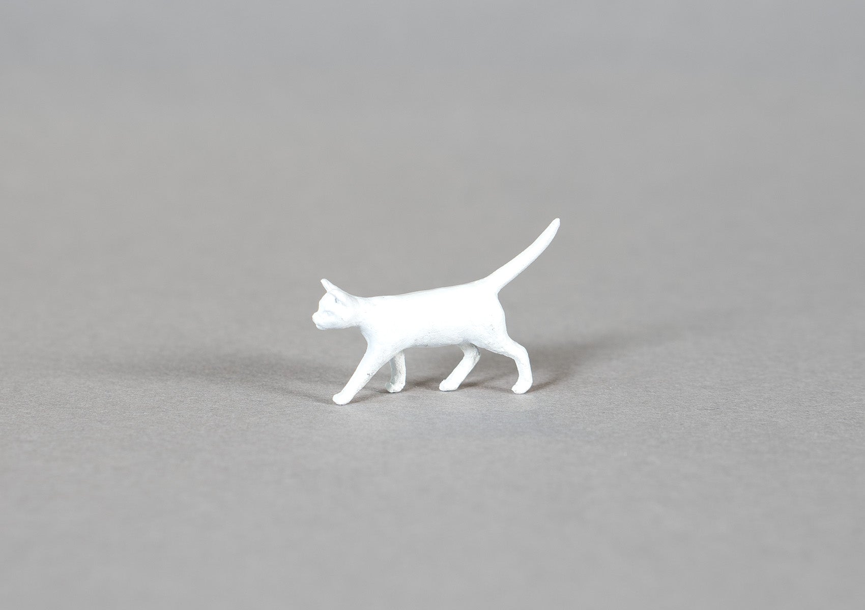 Cat 01