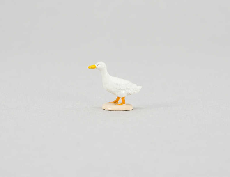 Bird Duck
