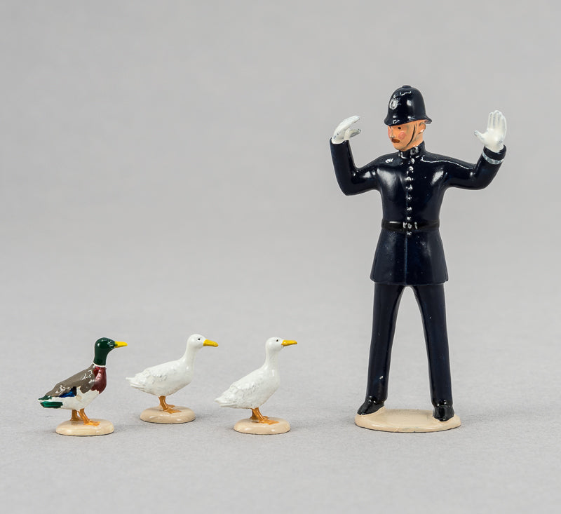Bird Duck