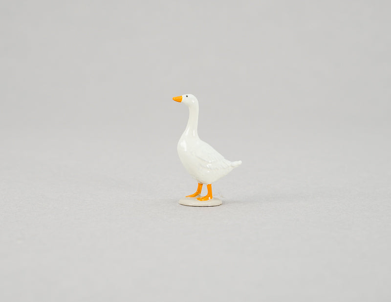 Bird Goose