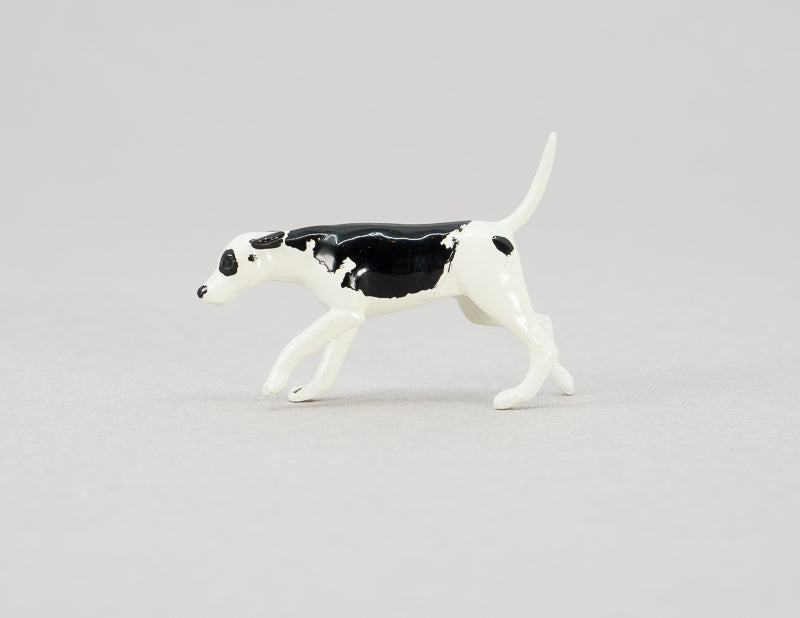 Dog Foxhound