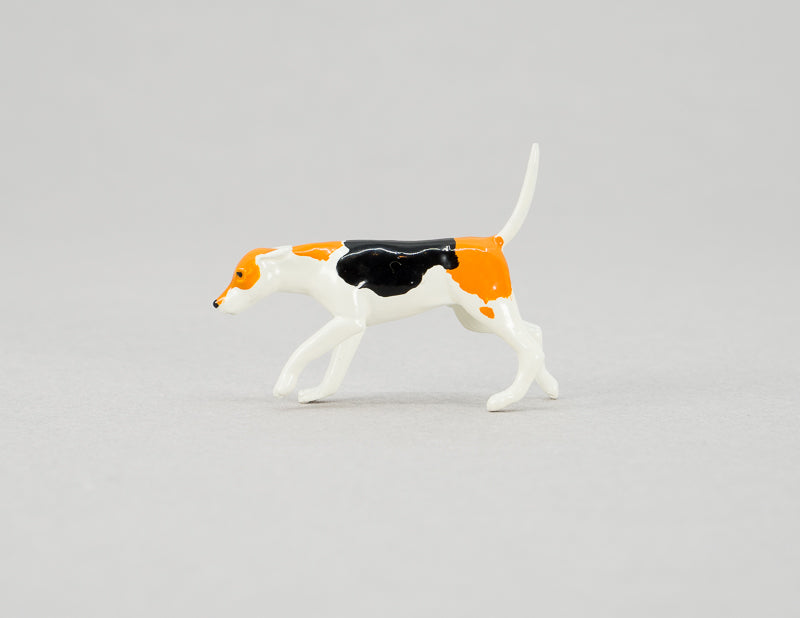 Dog Foxhound
