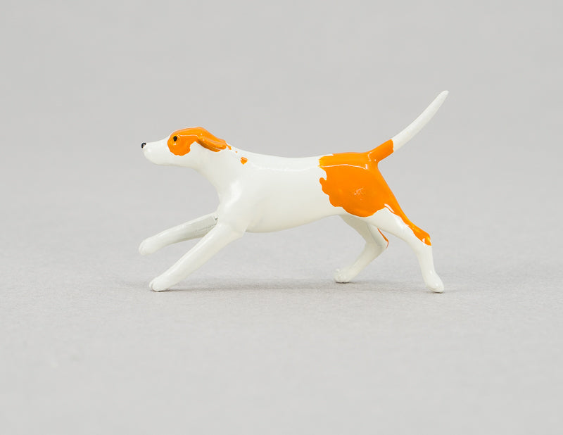 Dog Foxhound