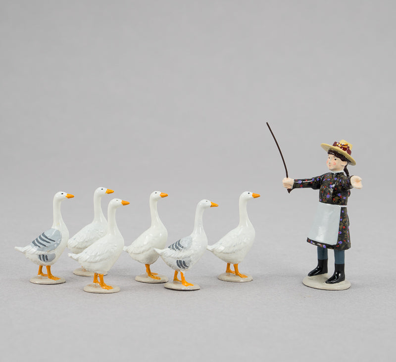 Bird Goose