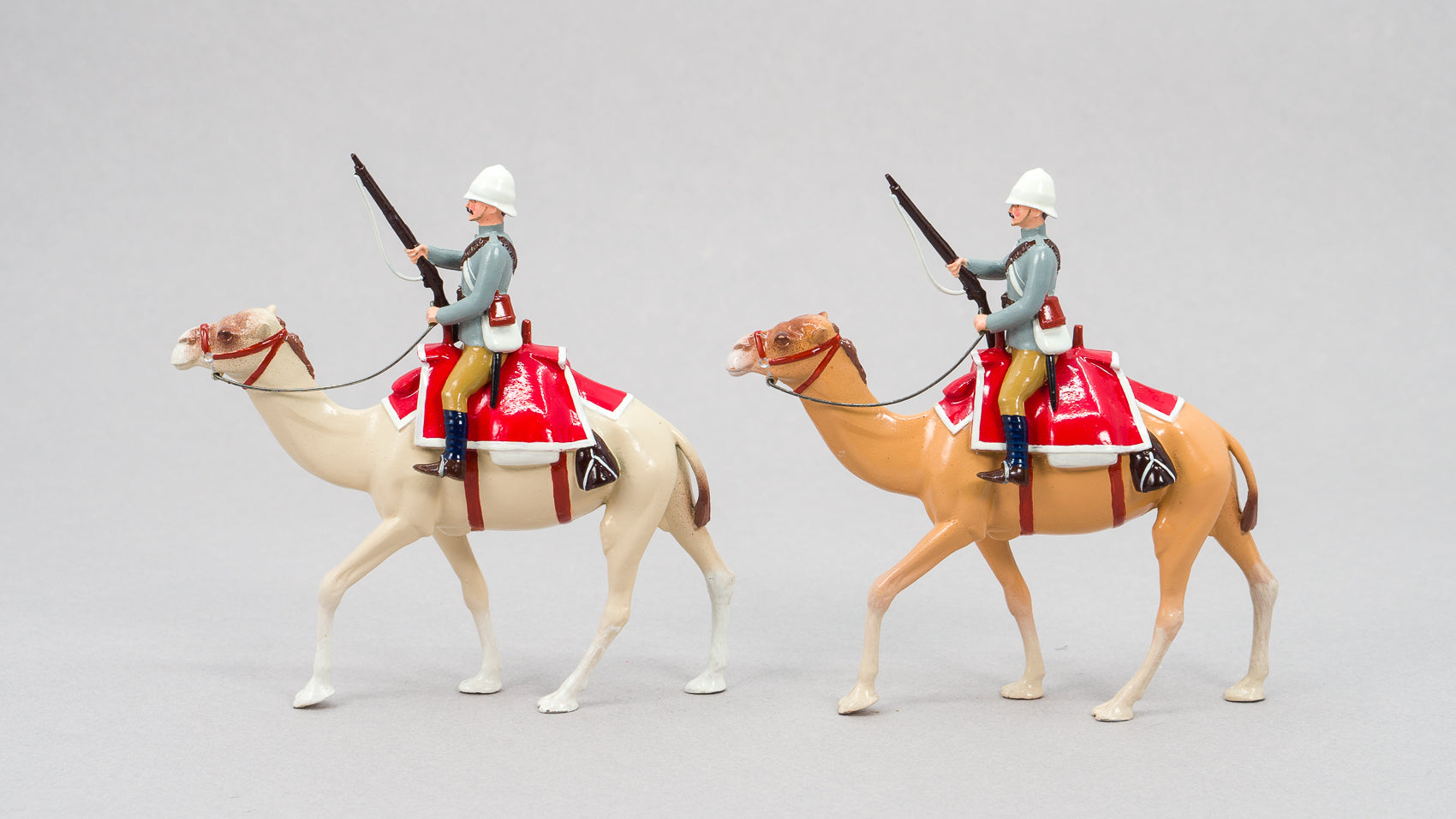 126 Guards Camel Regiment, 1885